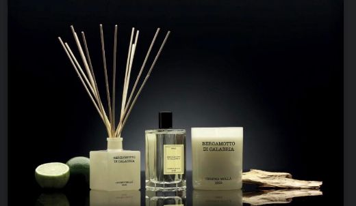 Immagine di DIFFUSORE A BASTONCINI PREMIUM 100 ML BERGAMOTTO DI CALABRIA